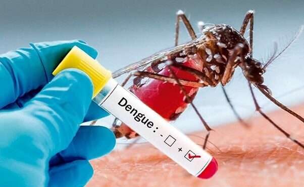 Maranhão tem mais de 4 mil casos de dengue confirmados