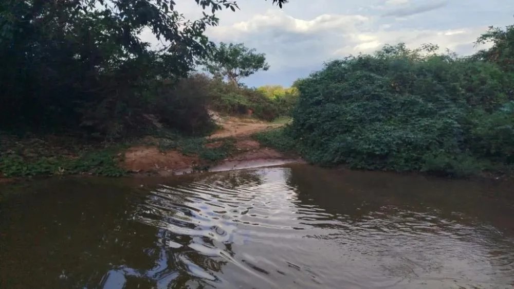 ENIGMA DICA 1: Foi um oficial do palácio que temia muito ao Senhor, mesmo em meio à idolatria DICA 2: Protegeu cem profetas, escondendo-os em cavernas e provendo-lhes comida e água DICA 3: Se encontrou com um profeta e ajudou a facilitar um encontro importante.