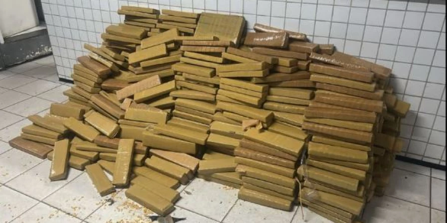 Centenas de tabletes de maconha são apreendidos em Paço do Lumiar