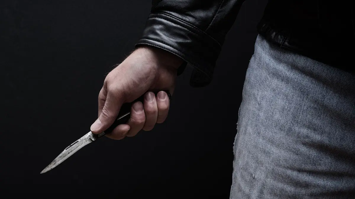 Mãe e filho são feridos com golpes de faca e pauladas em São Luís