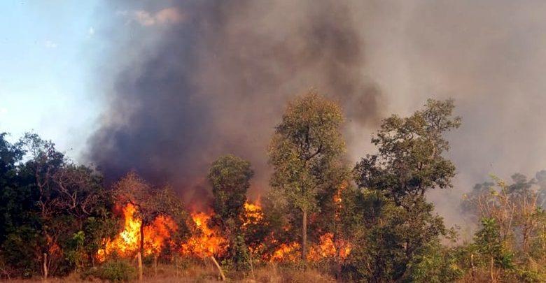 Maranhão já registra 4.810 focos de incêndio só em novembro