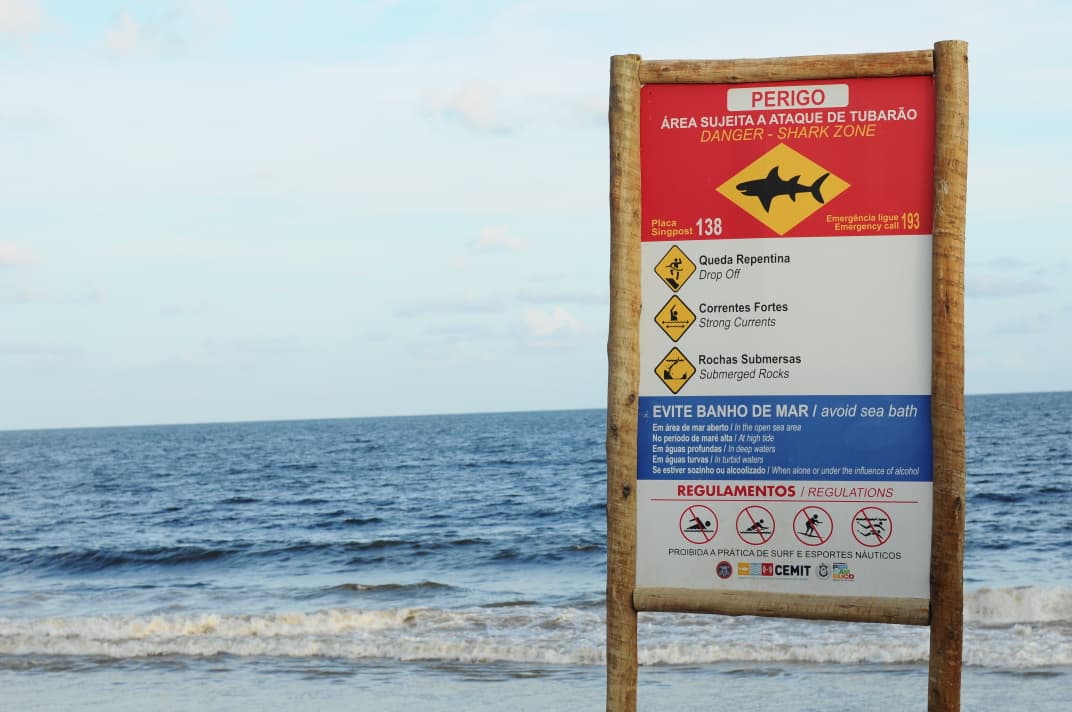 Adolescente de 13 anos, morre após ser mordido por tubarão em Pernambuco