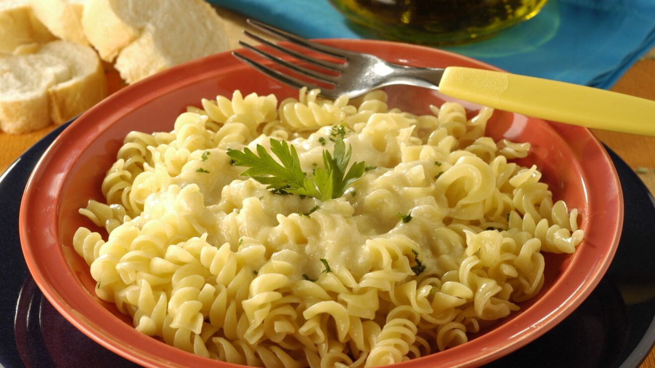 Macarrão ao molho quatro queijos