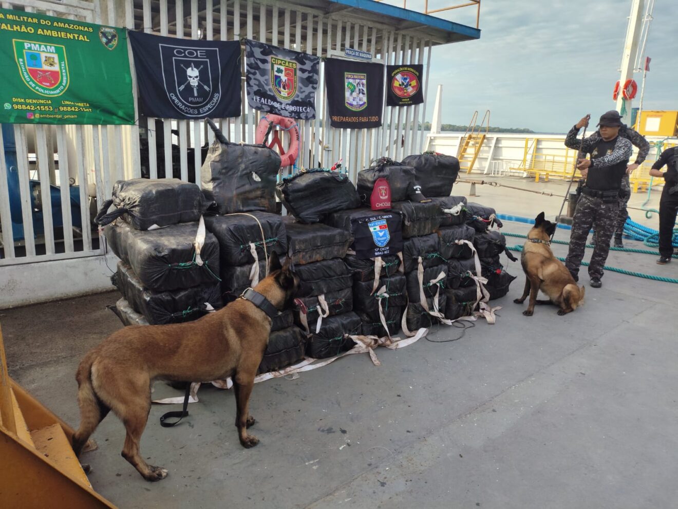 Operação apreende drogas e causa prejuízo de mais de R$ 1 milhão ao tráfico em Balsas