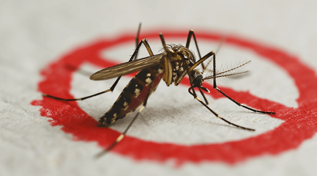 SUS passa a oferecer teste rápido de dengue