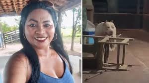 Polícia Civil abre investigação sobre morte de mulher atacada por pitbull em Bacabal