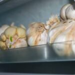 Aprenda como tirar cheiro de alho da geladeira