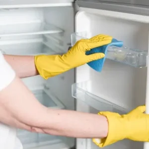 Dicas para limpar a geladeira de um jeito fácil