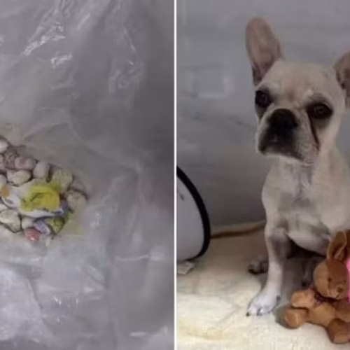 Redes Sociais/Reprodução