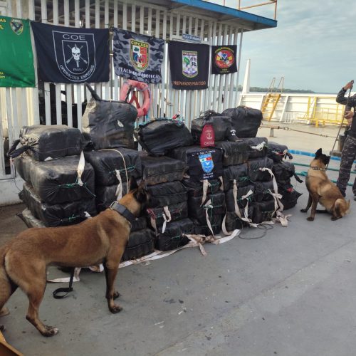 Operação apreende drogas e causa prejuízo de mais de R$ 1 milhão ao tráfico em Balsas