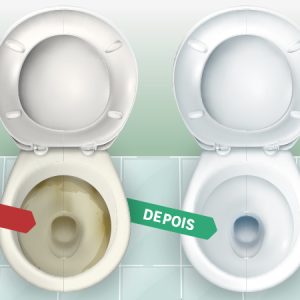 Aprenda a misturar sabão em pó e creme dental para tirar manchas do vaso sanitário