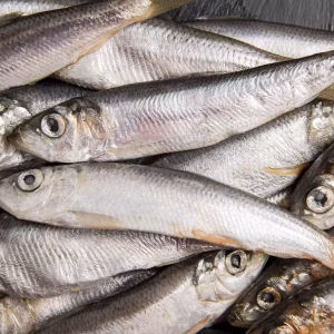 Freepik/Reprodução