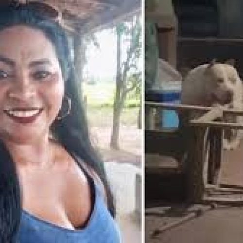 Polícia Civil abre investigação sobre morte de mulher atacada por pitbull em Bacabal