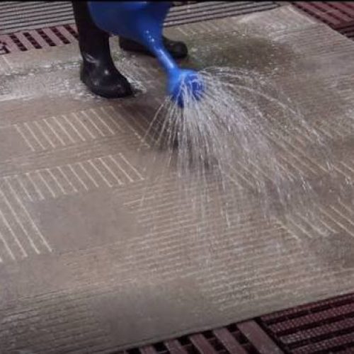Dicas para limpar tapetes e carpetes