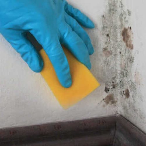 Mistura caseira mais poderosa para remover mofo escuro de paredes e armários
