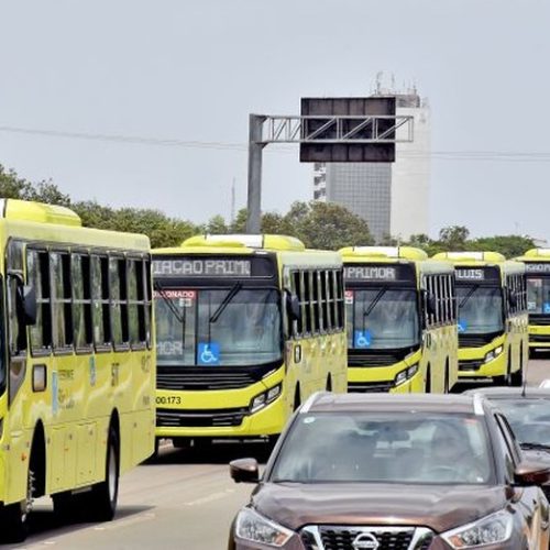 Prefeitura de São Luís/Reprodução