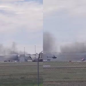 REUTERS/Reprodução